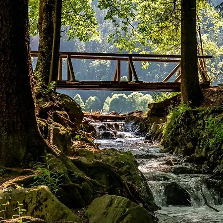 11 - Ferienresidenz Roseneck, 2 Schlafzimmer, Mit Schwimmbad In Bei Feldberg