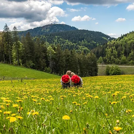 11 - Ferienresidenz Roseneck, 2 Schlafzimmer, Mit Schwimmbad In Bei Feldberg