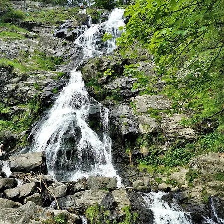 Appartement 11 - Ferienresidenz Roseneck, 2 Schlafzimmer, Mit Schwimmbad In Bei Feldberg *