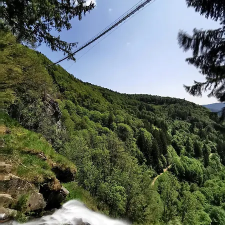 Appartement 11 - Ferienresidenz Roseneck, 2 Schlafzimmer, Mit Schwimmbad In Bei Feldberg Todtnauberg